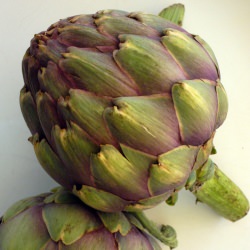 Italian Artichokes