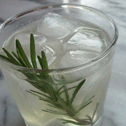 Vodka Rosemary Fizz