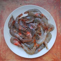 Mediterranean Prawns