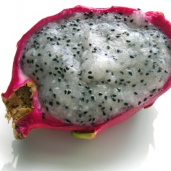 Dragon Fruit Sorbet