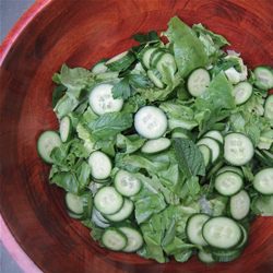 Mint & Parsley Salad with Cucumbers