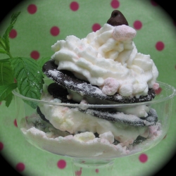 Mint Chocolate “Cupcake”