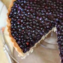 Wild Blueberry Tart