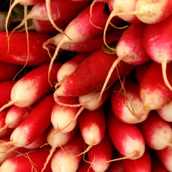 French Food Market in Burgundy