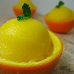 Orange Sorbet