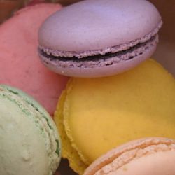 Parisian Macarons