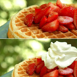 Waffles with Strawberries and Cream