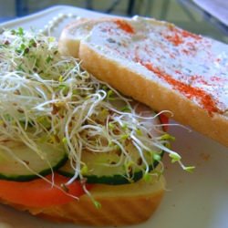 Perfect Veggie Sandwich