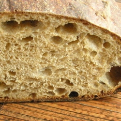 Sourdough Bread