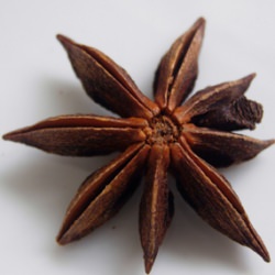 Star of the Spices