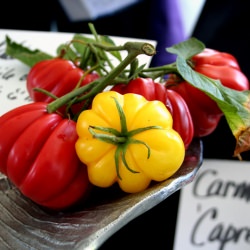 Yellow and Red Ruffled Tomatoes