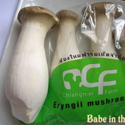 Eryngii Mushroom