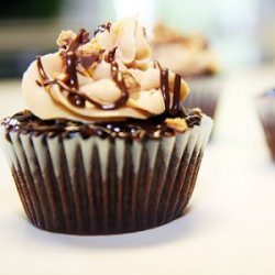 Peanut Butter Cup Cupcakes!