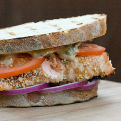 Barbecued Salmon Panini