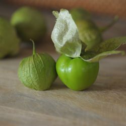 Tomatillo