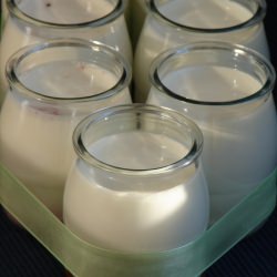 Homemade Yogurt