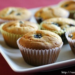 Blueberry Muffins