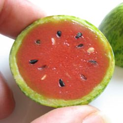 Baby Watermelon?