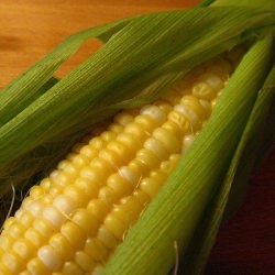 Sweet Corn