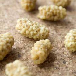 Dried Mulberries from Southern Alps