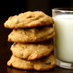 Pumpkin Chocolate Chip Cookies