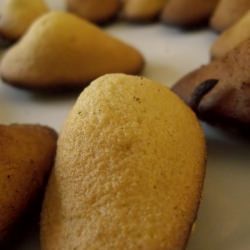 Humpbacked French Madeleines