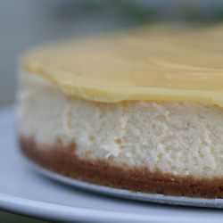 Lemon Cheesecake