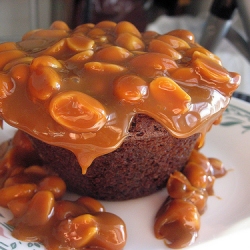 Caramel Peanut Topped Brownie Cake