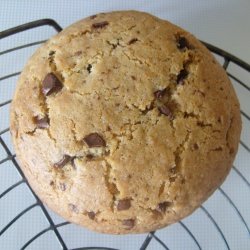 Chocolate Chip Cookie