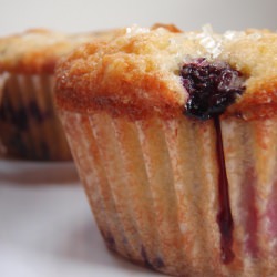 Double Berry Muffins