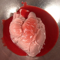 Strawberries and Cream Heart