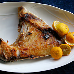 Salt Grilled Yellowtail Collar