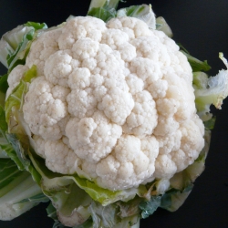 Cauliflower and Brie Soup