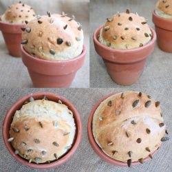 Pao Cacto – Cactus Bread