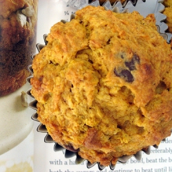 Pumpkin Chocolate Chip Muffins