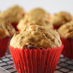 Pumpkin Muffins