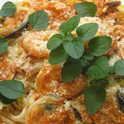 Fresh Tomato Seafood Linguine