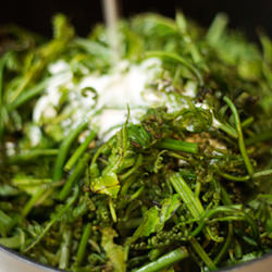 Vegetable Fern with Coconut Cream