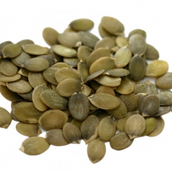 Roasted Pumpkin Seeds