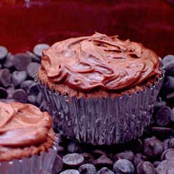 Chocolate Chocolate Cupcakes