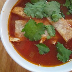 Mexican Tortilla Soup