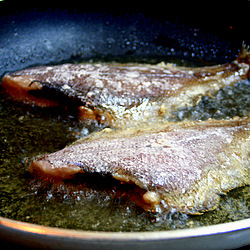 Fried Sanddabs w Garlic & Oyster