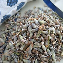 Herbes de Provence