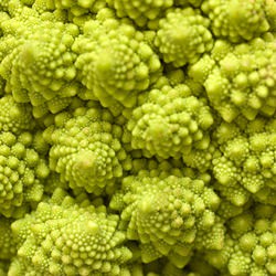 Romanesco Bake