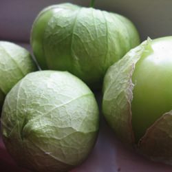 Quick Roasted Tomatillo Sauce