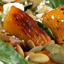 Maple Roasted Pumpkin Salad