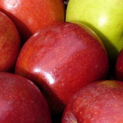 20 Things to do with Apples