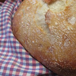 No-Knead Bread