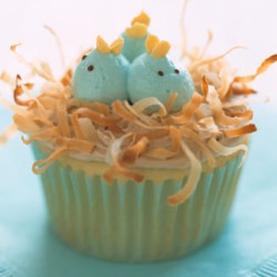 Bird Cupcakes