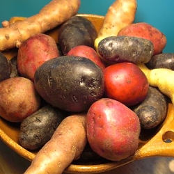 Colored Taters